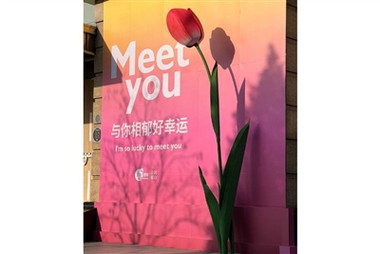 Ponadgabarytowe papierowe kwiaty